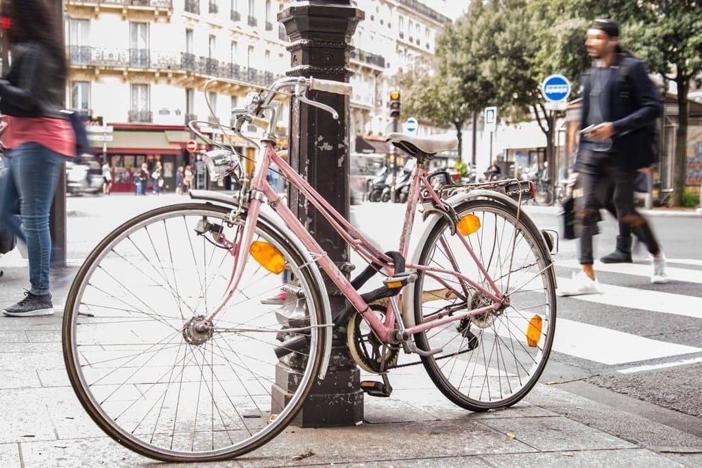 bicleta-estacionada-junto-arbol